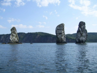 Морская прогулка на катере в бухту Русская  с осмотром лежбища сивучей (9-10 часов)