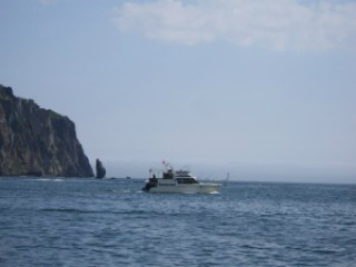 Морской круиз по Авачинской бухте с выходом  в Тихий океан к о. Старичков (5 часов)